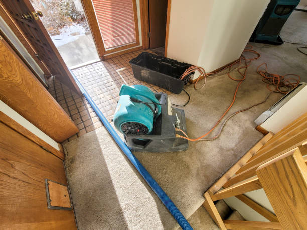 Best Water damage mitigation services  in Worthington Hills, KY