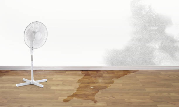 Best Commercial water damage restoration  in Worthington Hills, KY