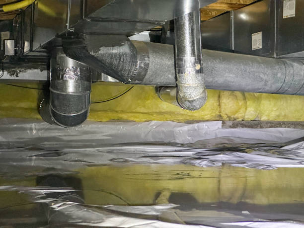 Best Water damage contractors near me  in Worthington Hills, KY